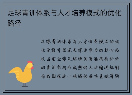 足球青训体系与人才培养模式的优化路径