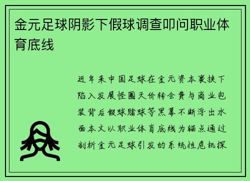 金元足球阴影下假球调查叩问职业体育底线